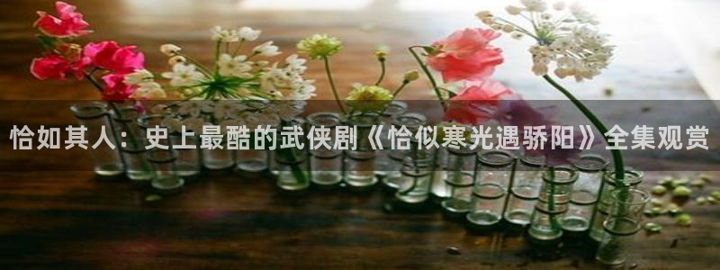 3d歪歪漫画：恰如其人：史上最酷的武侠剧《恰似寒光遇骄阳》全集观赏